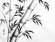 Follow me to Award winning Sumi Art