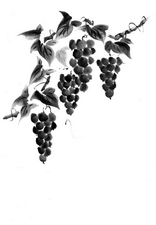 Grapes